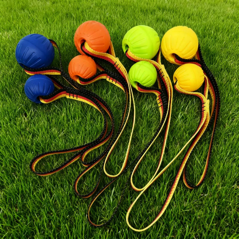 🐾 EVA Hollow Ball Chew & Training Toy for Dogs