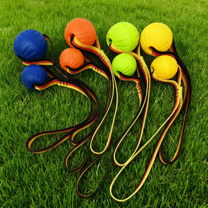 🐾 EVA Hollow Ball Chew & Training Toy for Dogs