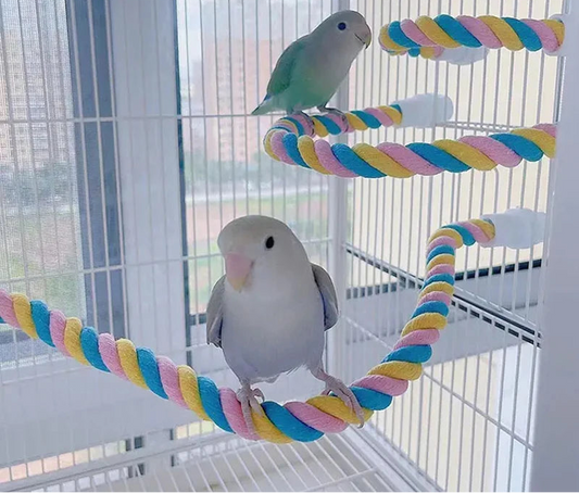 🐦 Colorful Cotton Rope Climbing Swing Toy for Pet Birds & Parrots