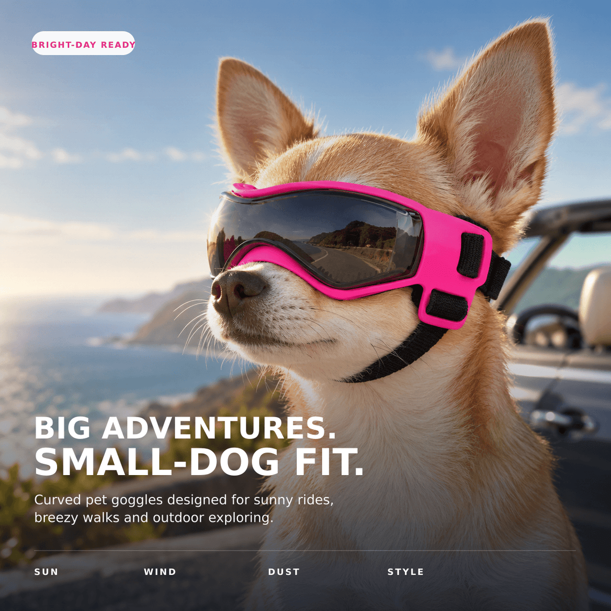 🐾 UV Protective Pet Goggles for Small & Medium Dogs & Cats