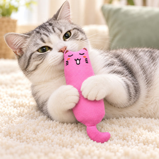 🐱 Cute Catnip Plush Toy with Crinkle Sound for Cats & Kittens